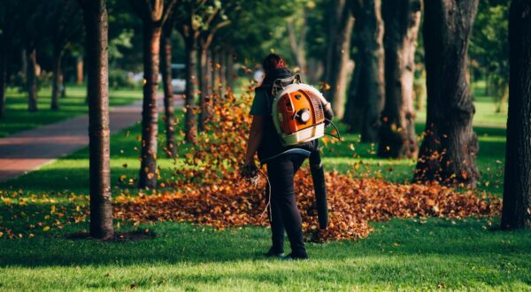 leaf-blower_1153-7324